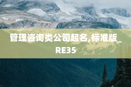 管理咨询类公司起名,标准版_RE35