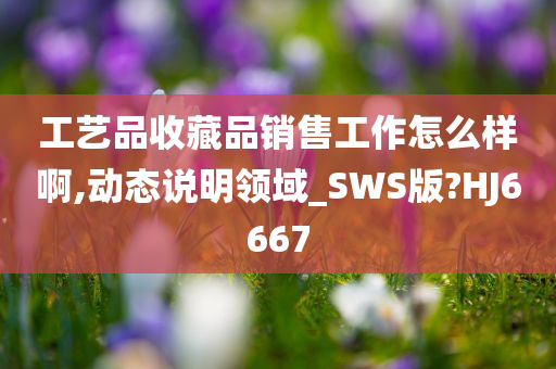 工艺品收藏品销售工作怎么样啊,动态说明领域_SWS版?HJ6667