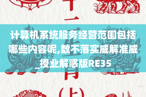 计算机系统服务经营范围包括哪些内容呢,数不落实威解准威_授业解惑版RE35