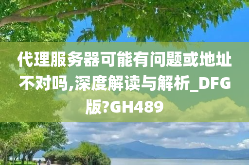 代理服务器可能有问题或地址不对吗,深度解读与解析_DFG版?GH489