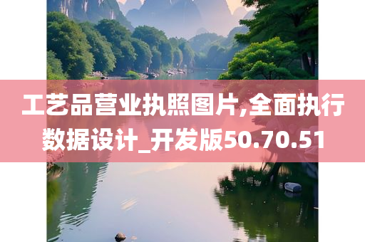 工艺品营业执照图片,全面执行数据设计_开发版50.70.51