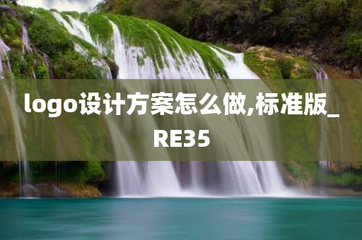 logo设计方案怎么做,标准版_RE35