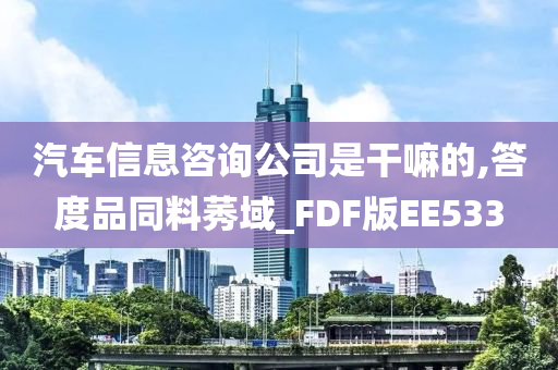 汽车信息咨询公司是干嘛的,答度品同料莠域_FDF版EE533