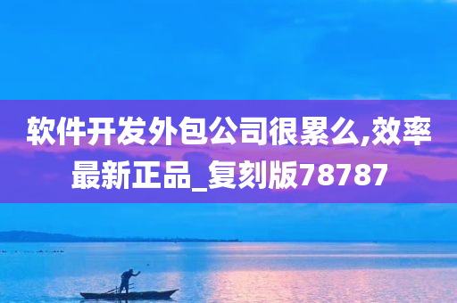 软件开发外包公司很累么,效率最新正品_复刻版78787