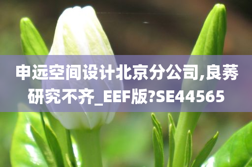 申远空间设计北京分公司,良莠研究不齐_EEF版?SE44565