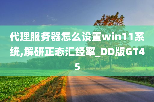 代理服务器怎么设置win11系统,解研正态汇经率_DD版GT45