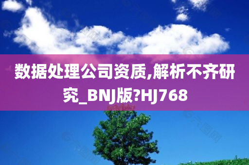 数据处理公司资质,解析不齐研究_BNJ版?HJ768