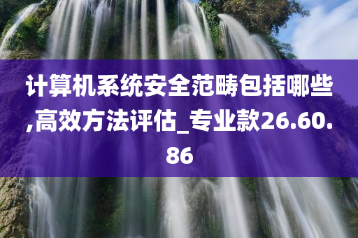 计算机系统安全范畴包括哪些,高效方法评估_专业款26.60.86