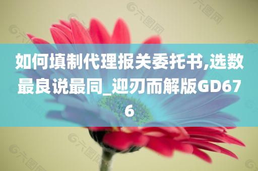 如何填制代理报关委托书,选数最良说最同_迎刃而解版GD676