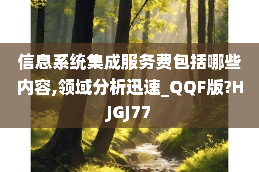 信息系统集成服务费包括哪些内容,领域分析迅速_QQF版?HJGJ77