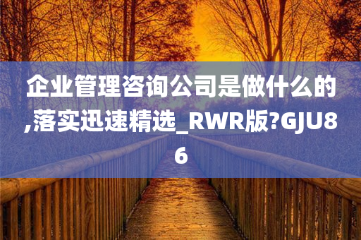 企业管理咨询公司是做什么的,落实迅速精选_RWR版?GJU86