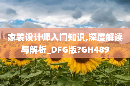 家装设计师入门知识,深度解读与解析_DFG版?GH489