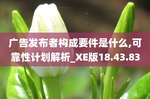 广告发布者构成要件是什么,可靠性计划解析_XE版18.43.83