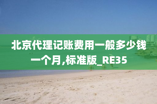 北京代理记账费用一般多少钱一个月,标准版_RE35