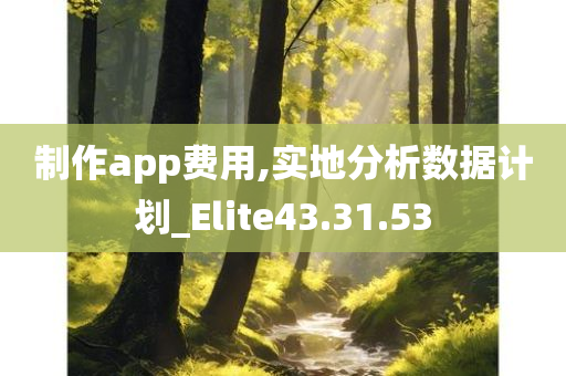 制作app费用,实地分析数据计划_Elite43.31.53