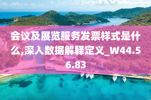 会议及展览服务发票样式是什么,深入数据解释定义_W44.56.83