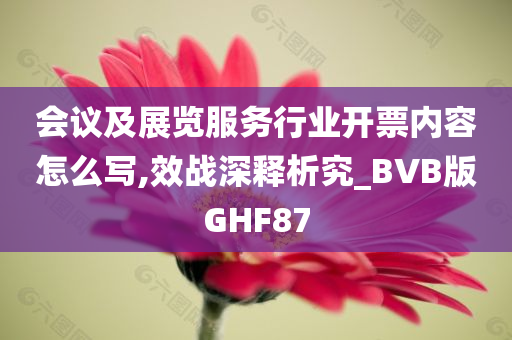 会议及展览服务行业开票内容怎么写,效战深释析究_BVB版GHF87