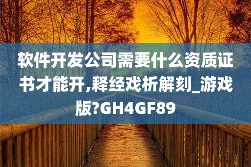 软件开发公司需要什么资质证书才能开,释经戏析解刻_游戏版?GH4GF89