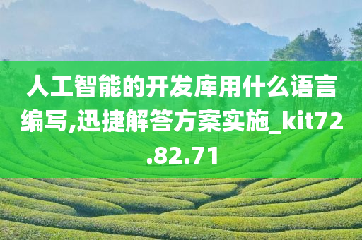 人工智能的开发库用什么语言编写,迅捷解答方案实施_kit72.82.71