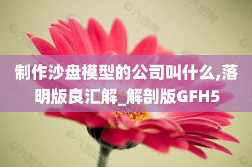 制作沙盘模型的公司叫什么,落明版良汇解_解剖版GFH5