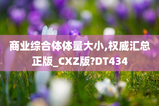 商业综合体体量大小,权威汇总正版_CXZ版?DT434