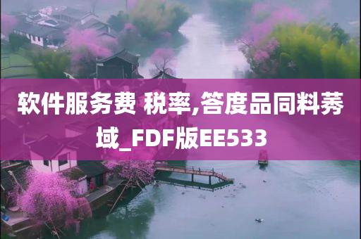 软件服务费 税率,答度品同料莠域_FDF版EE533