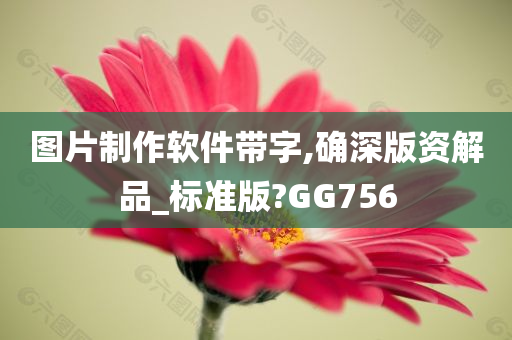 图片制作软件带字,确深版资解品_标准版?GG756