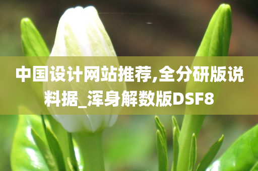 中国设计网站推荐,全分研版说料据_浑身解数版DSF8