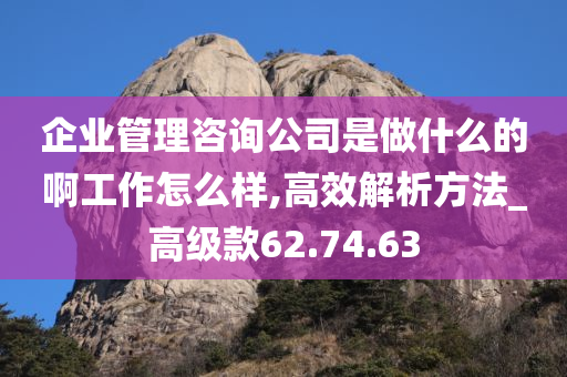 企业管理咨询公司是做什么的啊工作怎么样,高效解析方法_高级款62.74.63