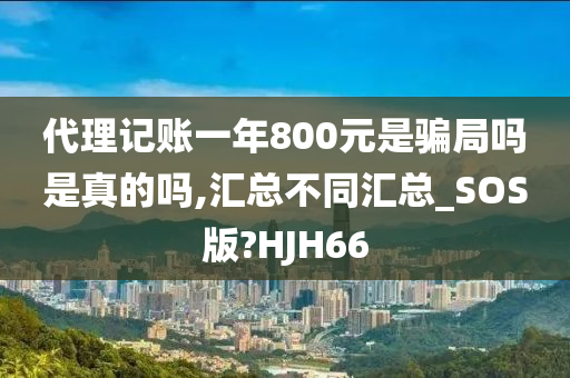 代理记账一年800元是骗局吗是真的吗,汇总不同汇总_SOS版?HJH66