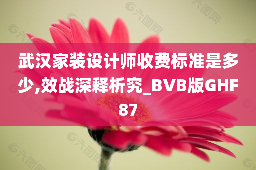 武汉家装设计师收费标准是多少,效战深释析究_BVB版GHF87