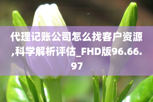 代理记账公司怎么找客户资源,科学解析评估_FHD版96.66.97