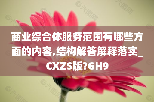 商业综合体服务范围有哪些方面的内容,结构解答解释落实_CXZS版?GH9