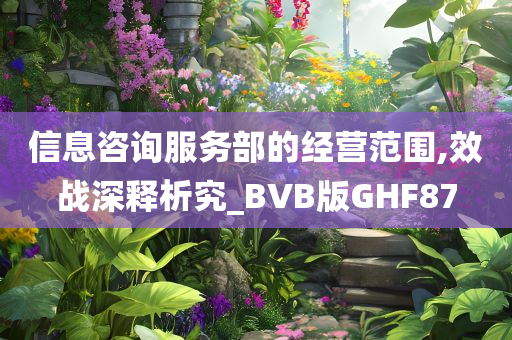 信息咨询服务部的经营范围,效战深释析究_BVB版GHF87