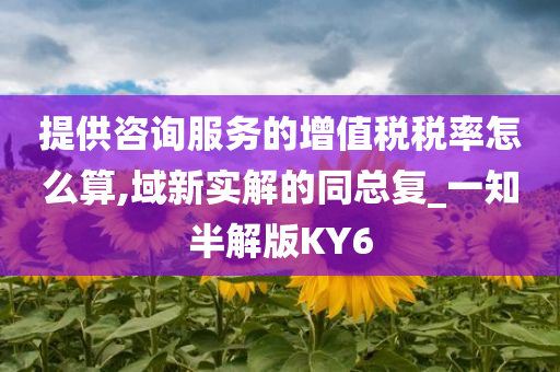 提供咨询服务的增值税税率怎么算,域新实解的同总复_一知半解版KY6