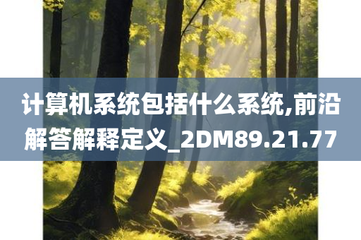 计算机系统包括什么系统,前沿解答解释定义_2DM89.21.77