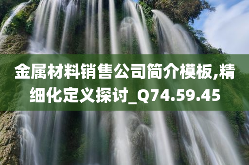 金属材料销售公司简介模板,精细化定义探讨_Q74.59.45