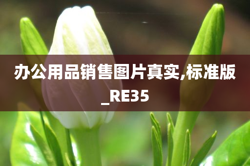 办公用品销售图片真实,标准版_RE35