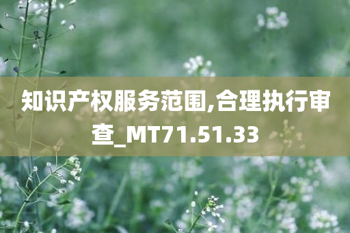 知识产权服务范围,合理执行审查_MT71.51.33