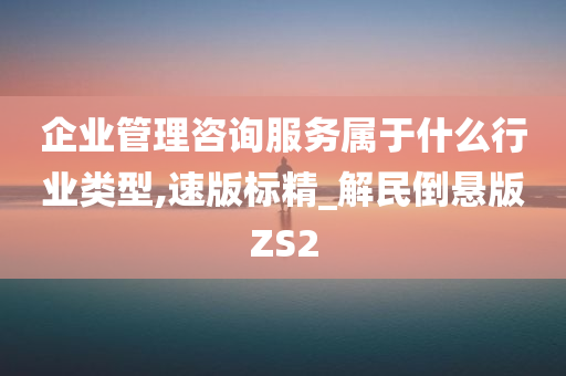 企业管理咨询服务属于什么行业类型,速版标精_解民倒悬版ZS2