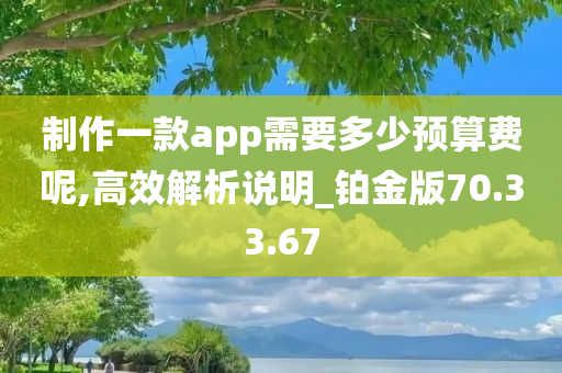 制作一款app需要多少预算费呢,高效解析说明_铂金版70.33.67