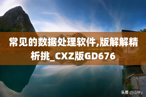 常见的数据处理软件,版解解精析挑_CXZ版GD676