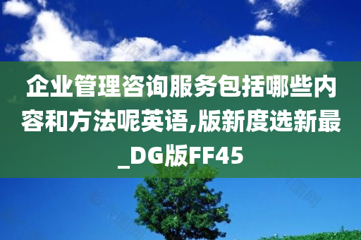 企业管理咨询服务包括哪些内容和方法呢英语,版新度选新最_DG版FF45