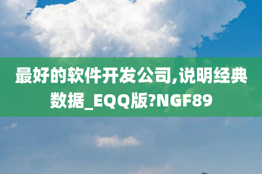 最好的软件开发公司,说明经典数据_EQQ版?NGF89