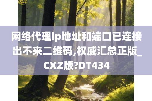 网络代理ip地址和端口已连接 出不来二维码,权威汇总正版_CXZ版?DT434