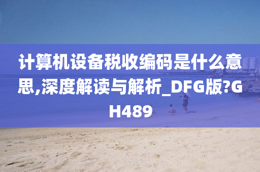 计算机设备税收编码是什么意思,深度解读与解析_DFG版?GH489