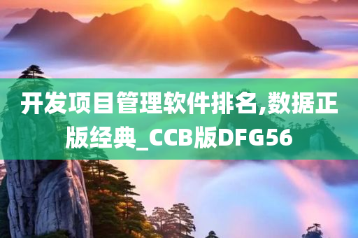 开发项目管理软件排名,数据正版经典_CCB版DFG56