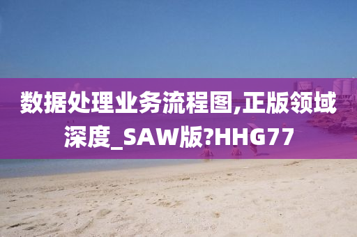 数据处理业务流程图,正版领域深度_SAW版?HHG77