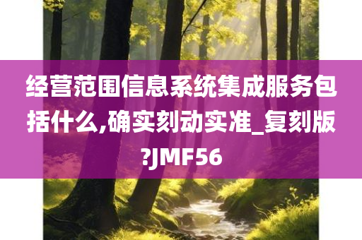 经营范围信息系统集成服务包括什么,确实刻动实准_复刻版?JMF56