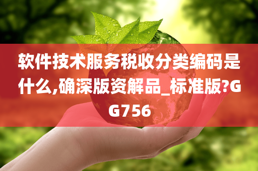 软件技术服务税收分类编码是什么,确深版资解品_标准版?GG756